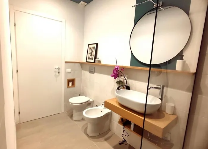 Altamothyca 莫迪卡